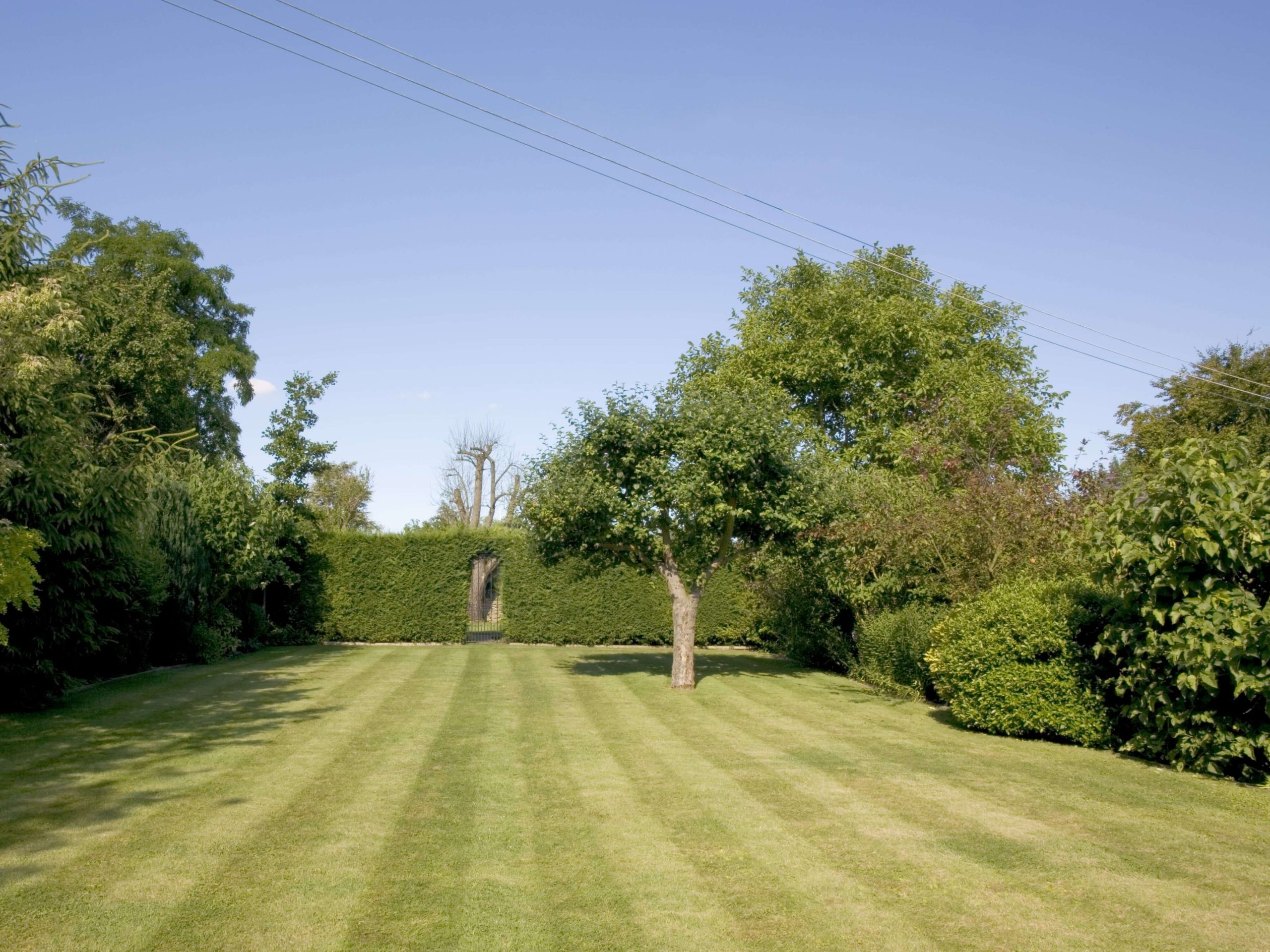 Lawn Mowing/Hedge Trimming Weybridge KT13