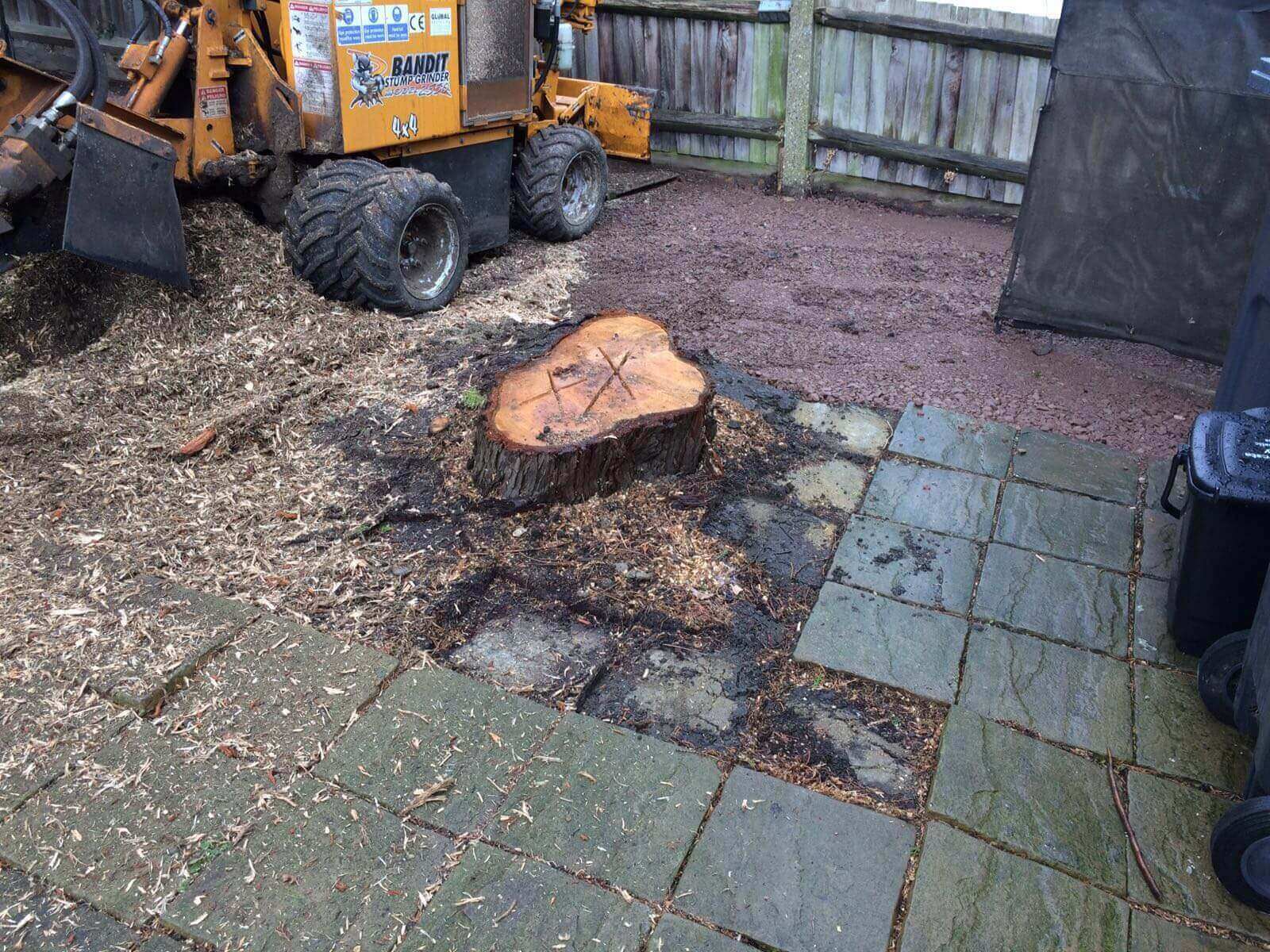 Tree Surgeons Weybridge KT13