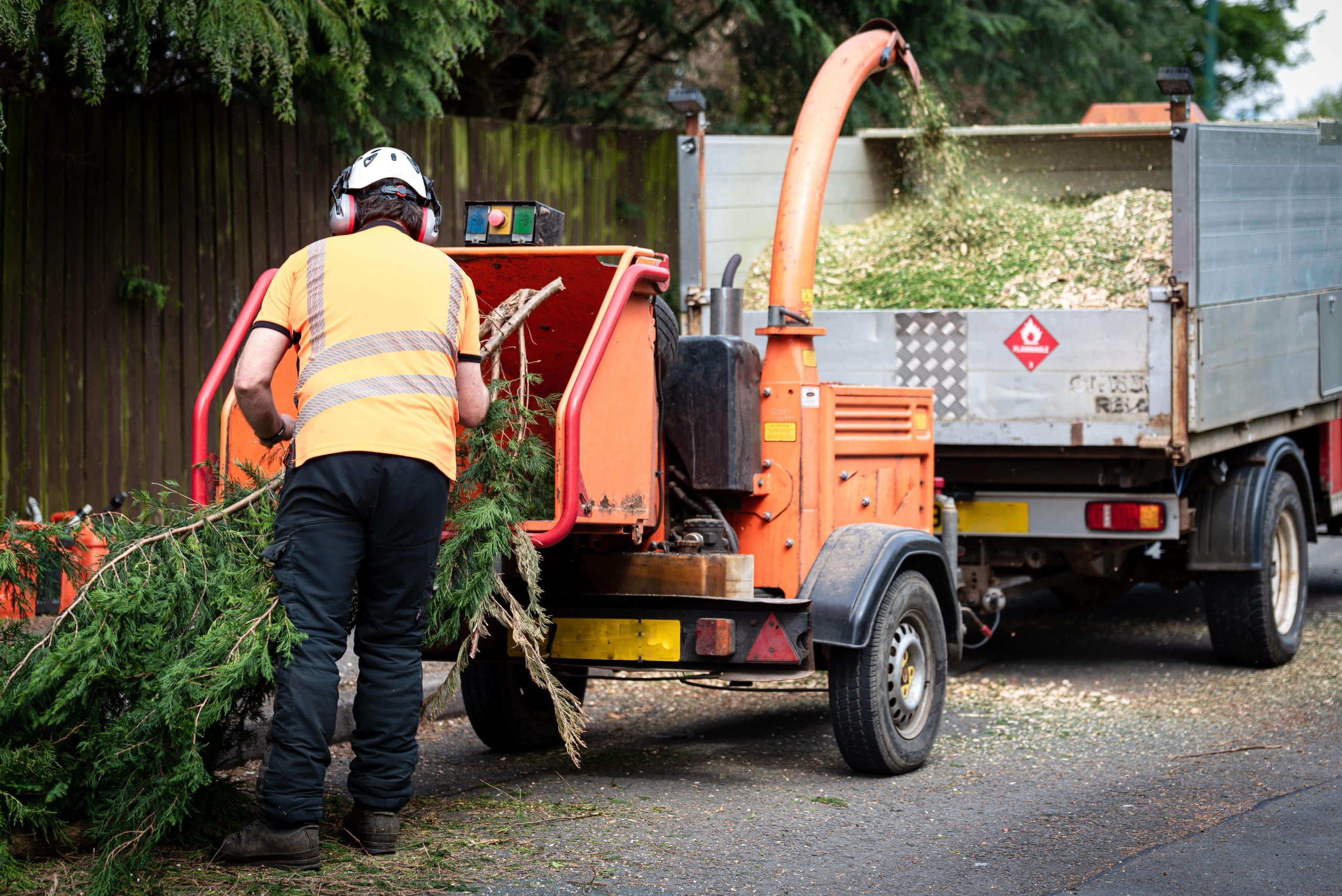 Tree Stump Grinding/Removal Weybridge KT13